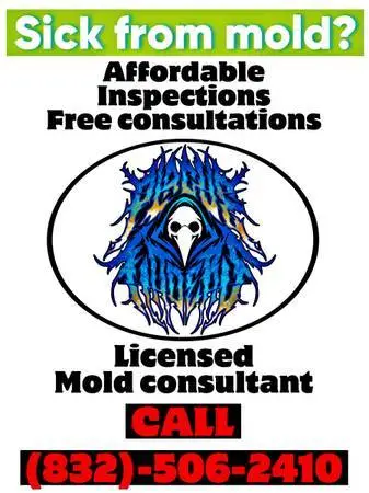 Professional Mold Inspections – Fast, Reliable