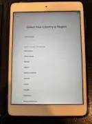 Apple iPad Mini 2,