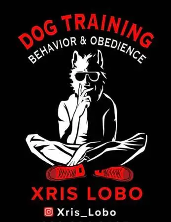 Xris Lobo, Professioanl Dog Trainer (Los Angeles)